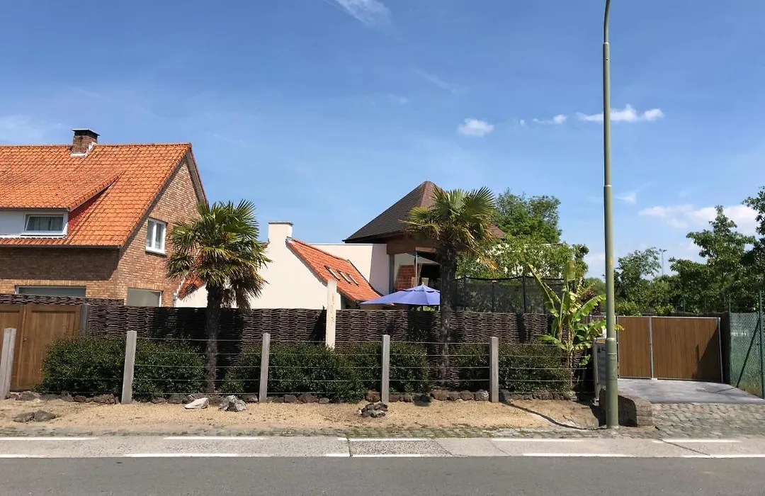B&B Kudita-1